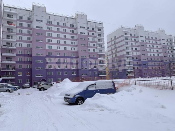 Студия Виктора Шевелева улица, д.32