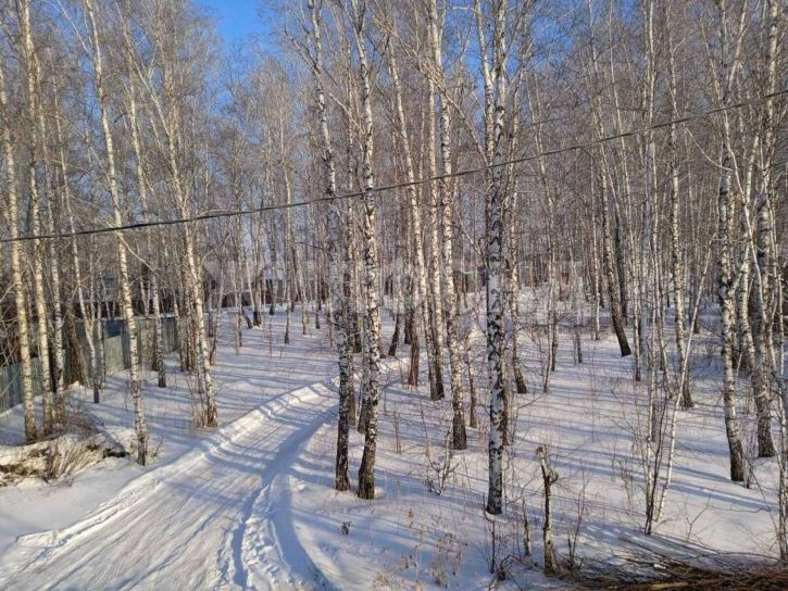 Земельный участок Новосибирск
