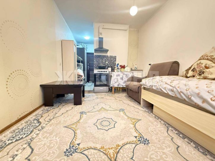 Студия Виктора Уса улица, д.15