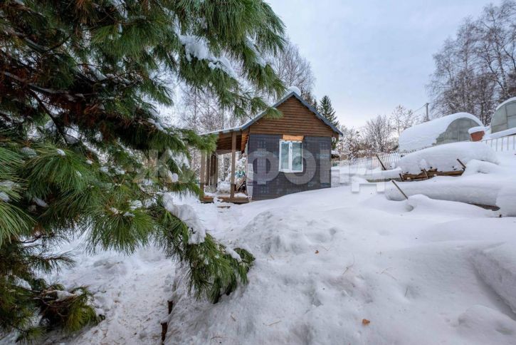 Коттедж/дом Новосибирск