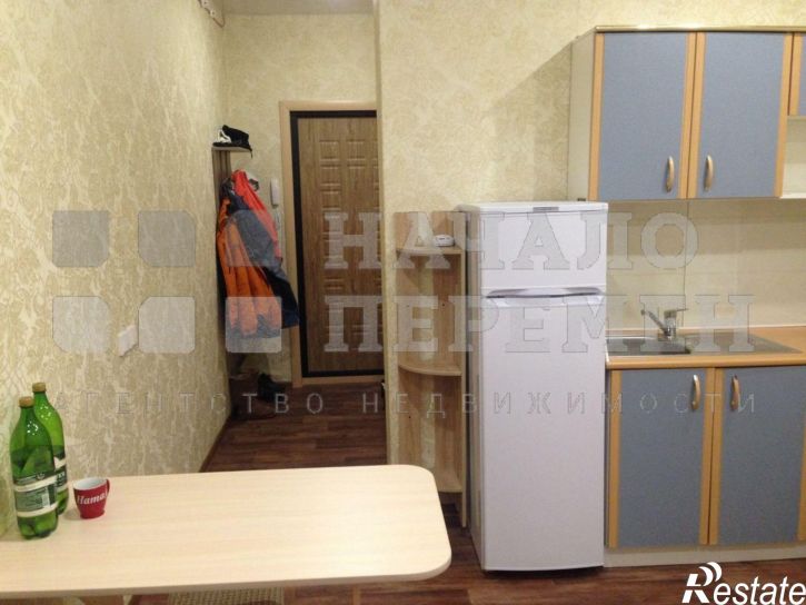1-комн квартира Виктора Уса ул, 4