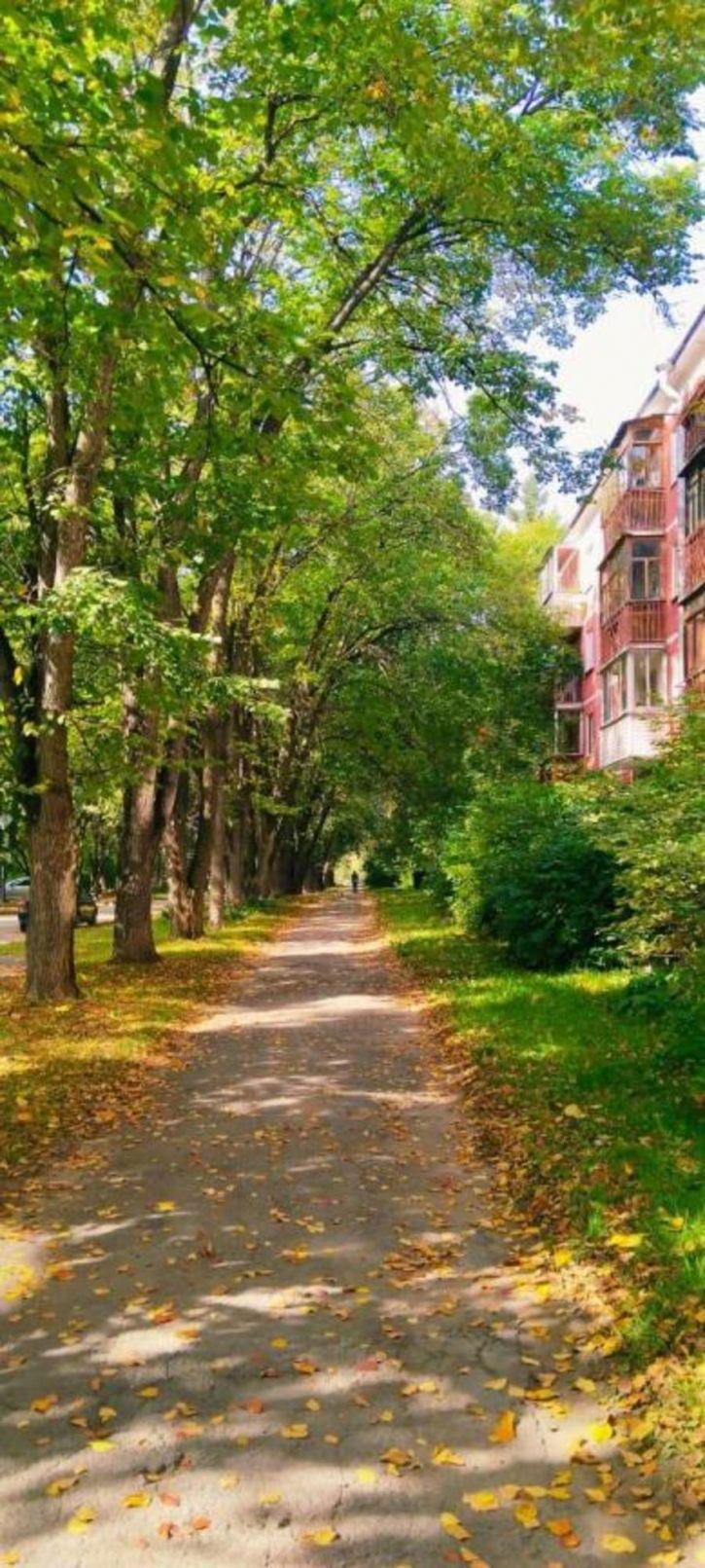 2-комн квартира Учёных, 3
