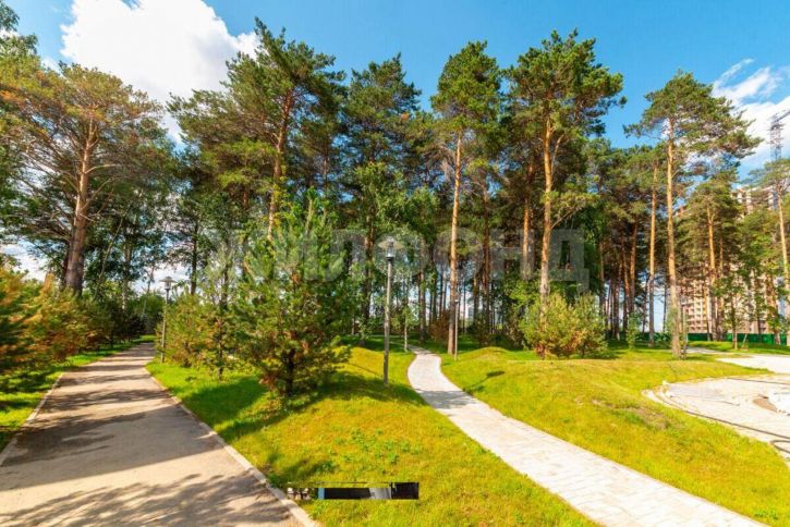 Студия Светлановская улица, д.52/1
