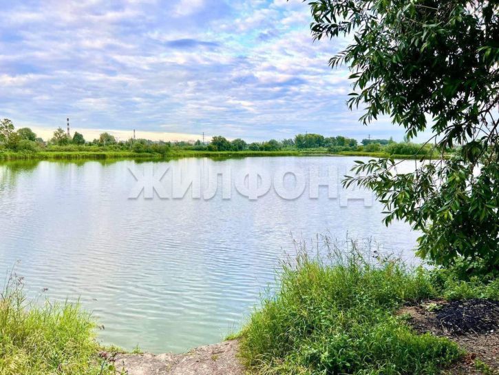 Студия Забалуева улица, д.102/1