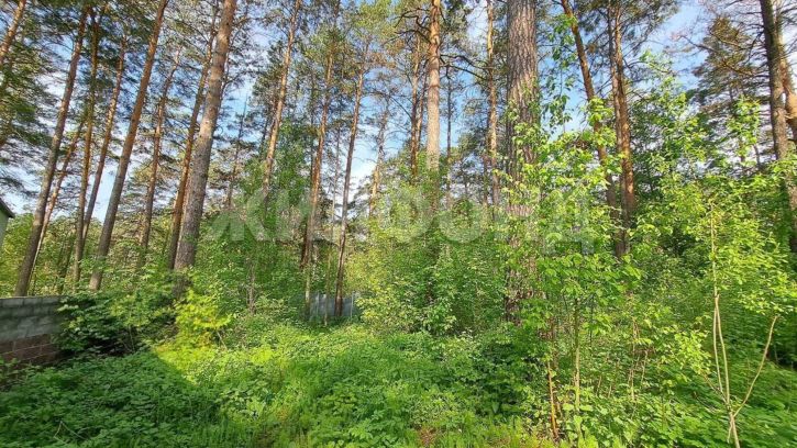 Земельный участок Обские зори переулок