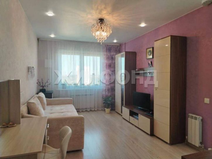 1-комн квартира Оловозаводская улица, д.6/1