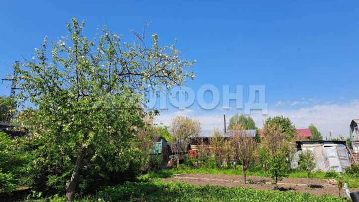 Коттедж/дом Новосибирск