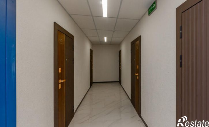 1-комн квартира Светлановская улица, 52/4