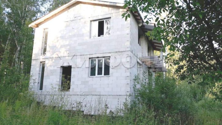Коттедж/дом СНТ Ландыш территория