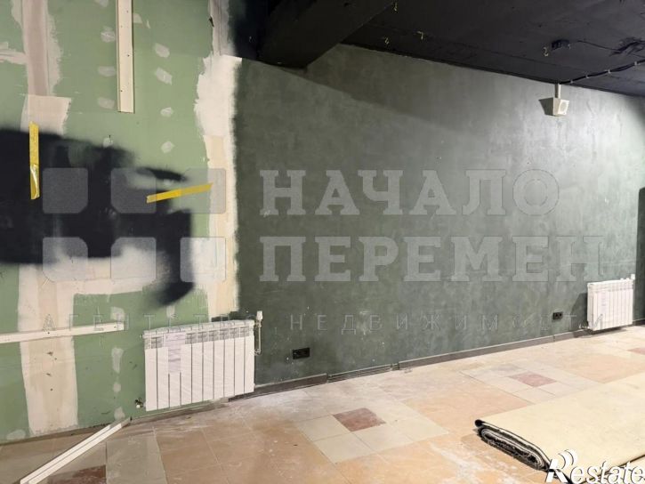 Торговое помещение Красный пр-кт, 17