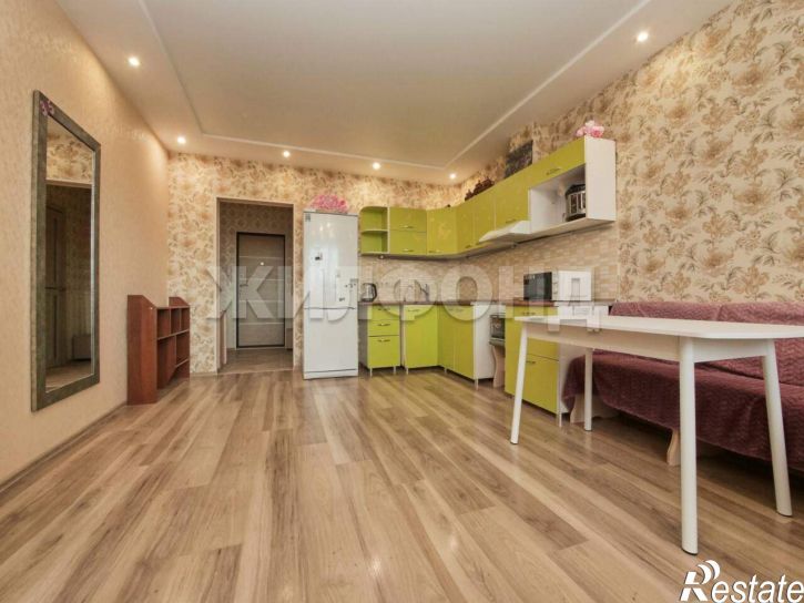 Студия Виктора Шевелева улица, д.20
