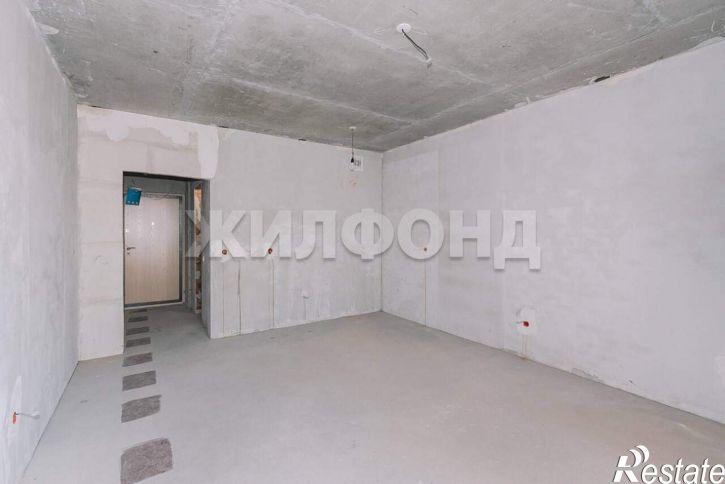 Студия Красный проспект, д.313