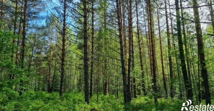 Земельный участок метро Площадь Ленина