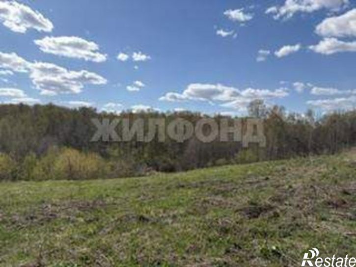 Земельный участок Золотая осень территория снт