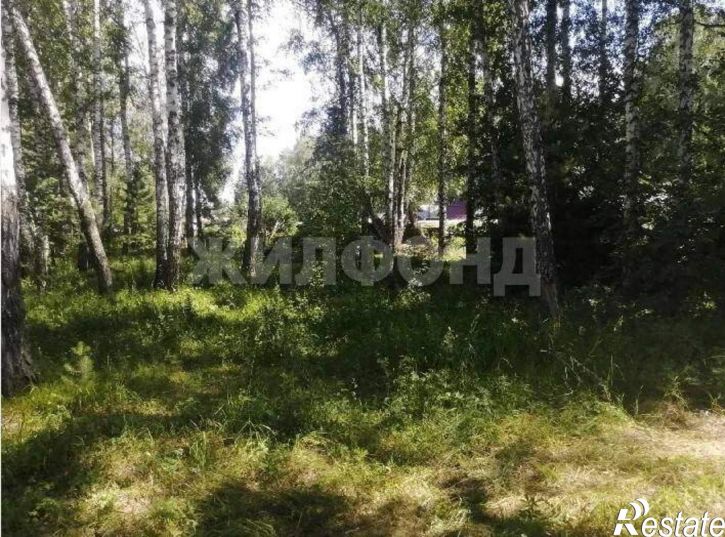 Земельный участок Заря Ранняя территория снт