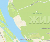 земля 4 сот Студенческая улица
