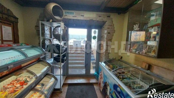 Торговое помещение ул Виктора Уса, 9,  д. 9