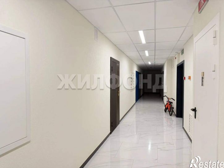 Студия Светлановская улица, д.52/4