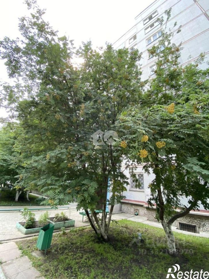 2-комн квартира ул Лебедевского, 2/2,  д. 2/2
