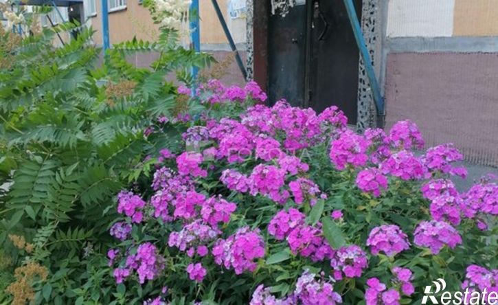 2-комн квартира ул Кошурникова, 13/2,  д. 13/2