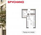1-комн, 25 кв м, этаж 3/24 ул Журинская, 131А