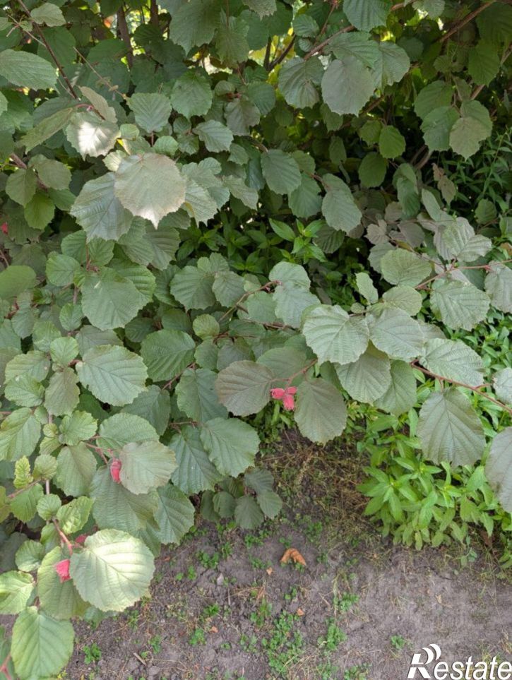 Коттедж/дом метро Площадь Ленина