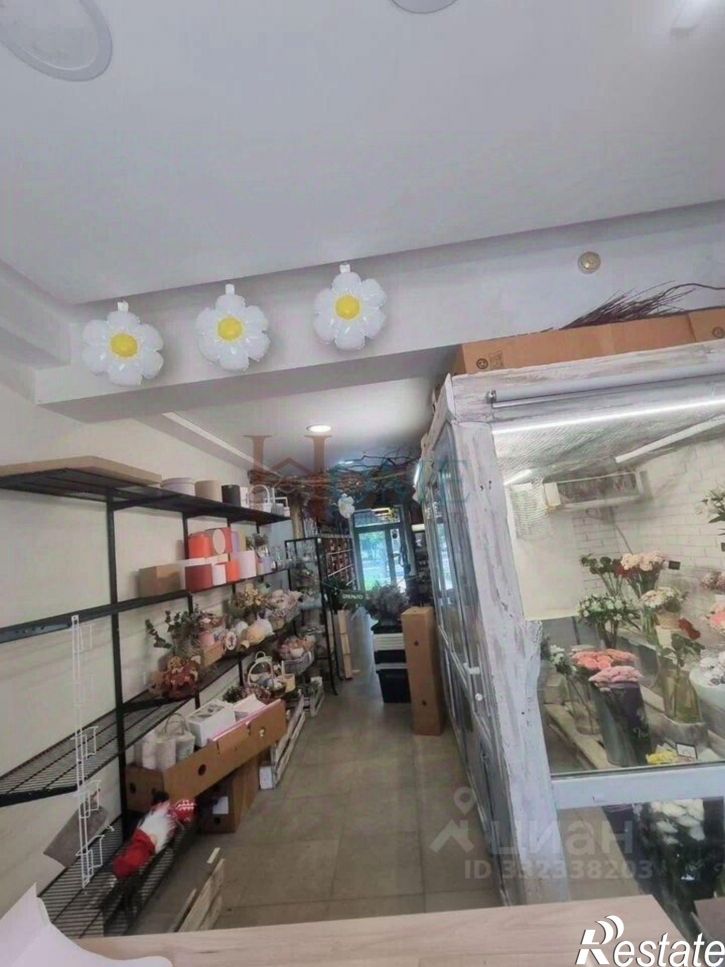 Торговое помещение Красный пр-кт, 218,  д. 218