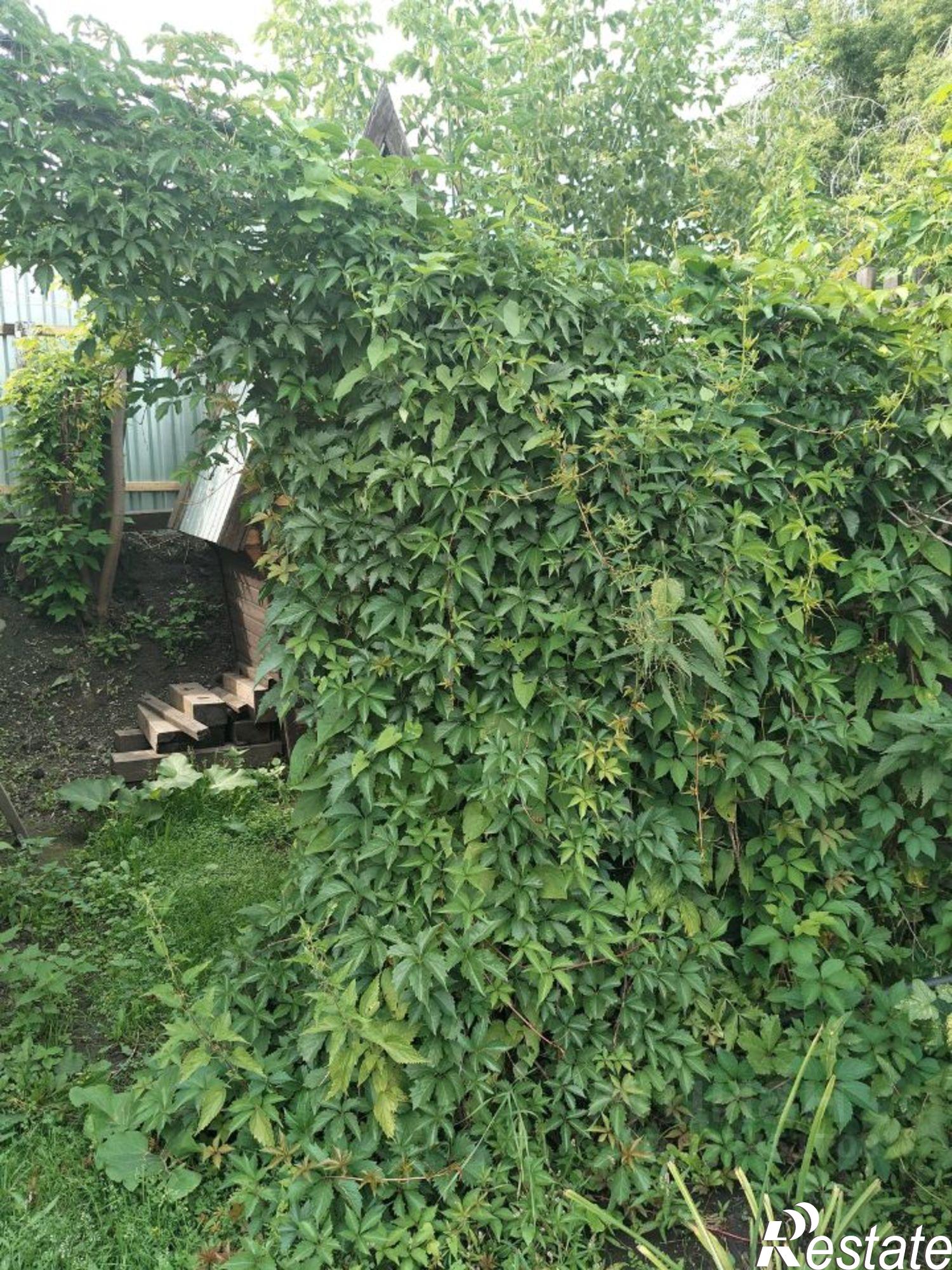 Купить дачу, дом, коттедж за 1 600 000 рублей