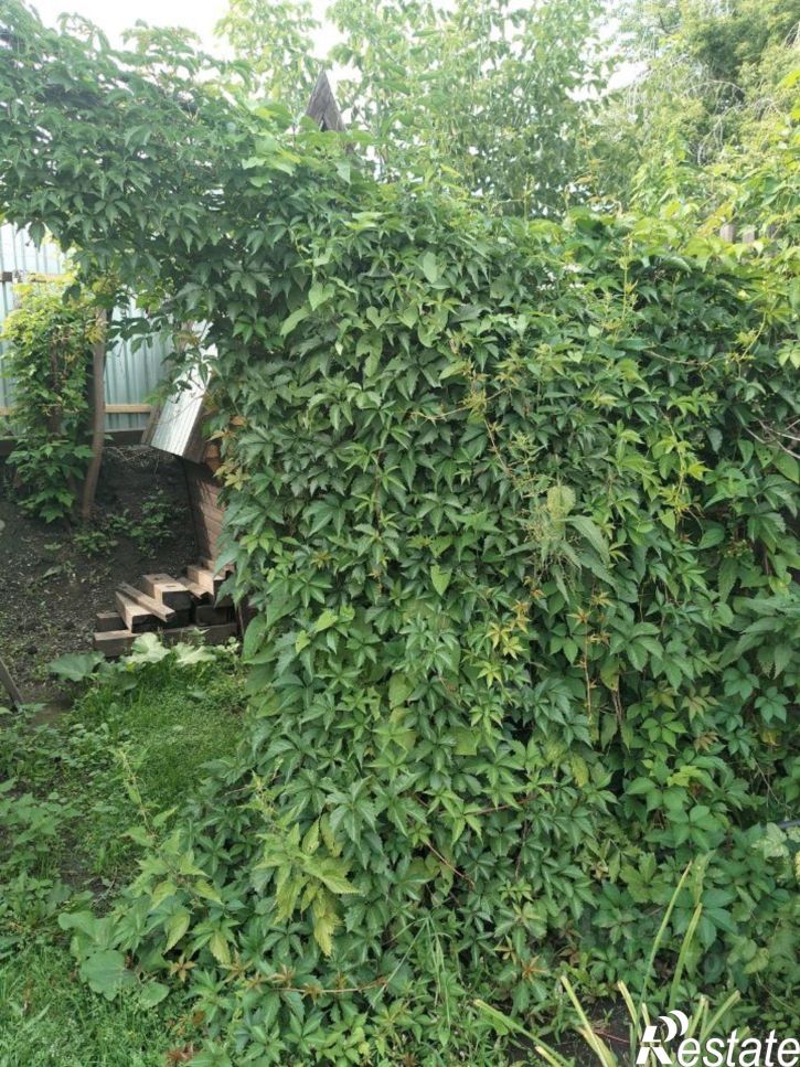 Коттедж/дом