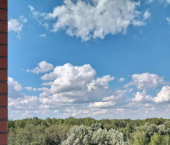 1-комн, 34.9кв м, этаж 8/9 Миргородская 2-я, 9