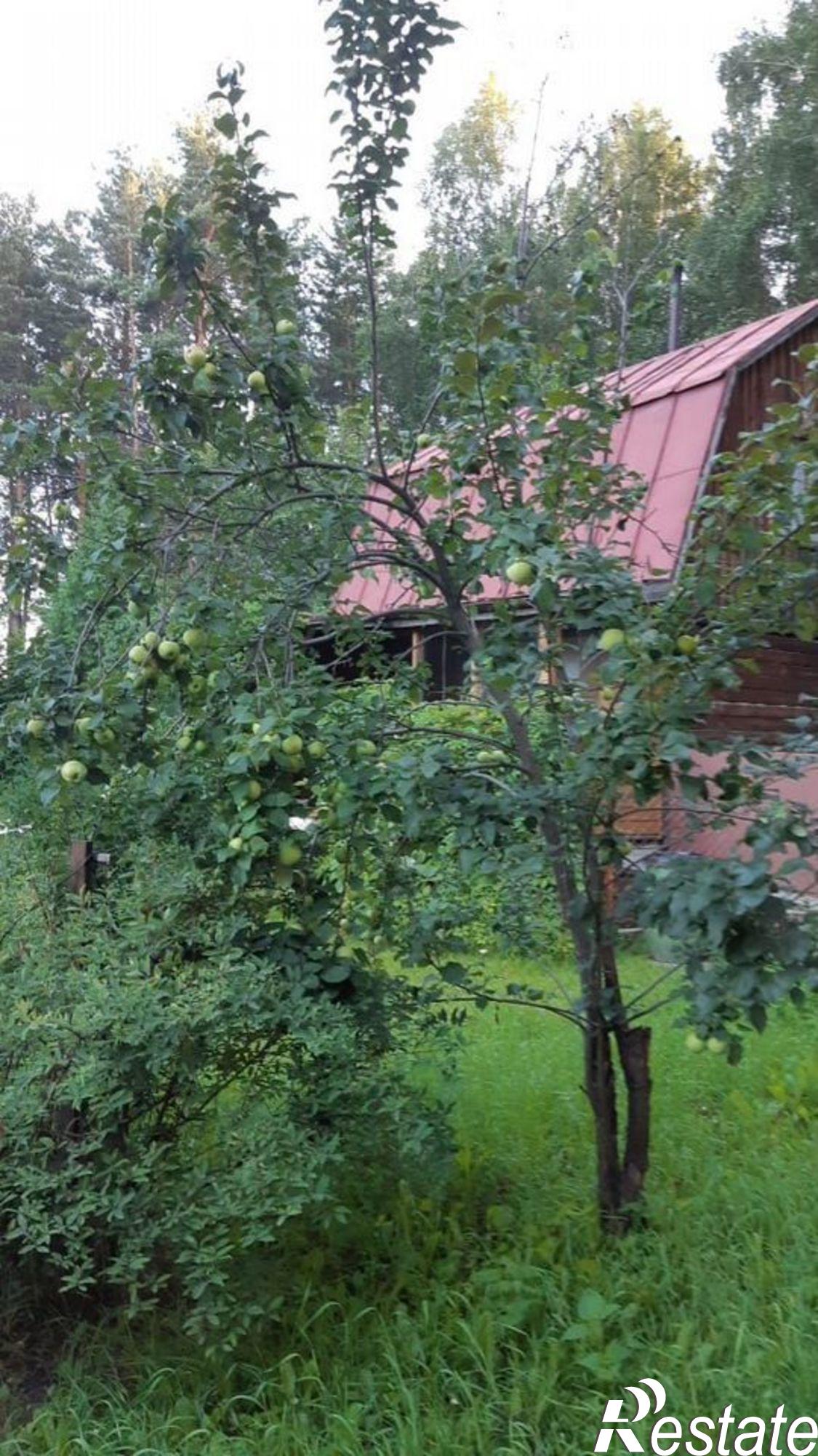Купить дачу, дом, коттедж за 5 500 000 рублей на НСТ Конструктор, 288