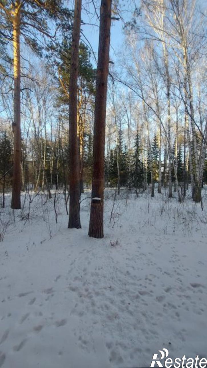 3-комн квартира Морской проспект, 60