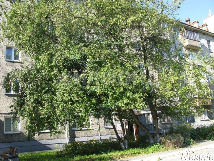 3-комн квартира ул Богдана Хмельницкого, 57,  д. 57