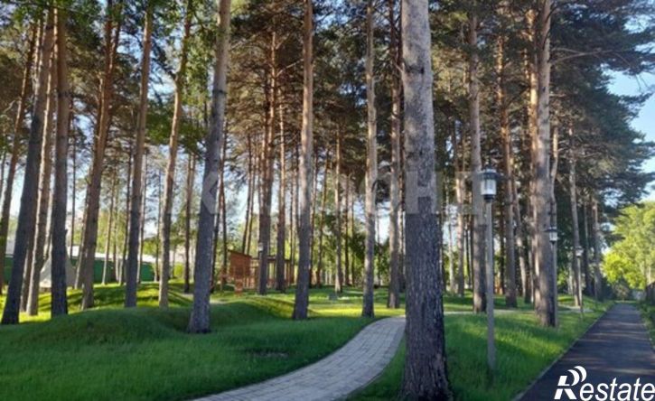 1-комн квартира ул Светлановская, 52,  д. 52