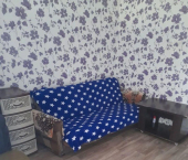 комната 48 кв м Шлюзовая улица, 8
