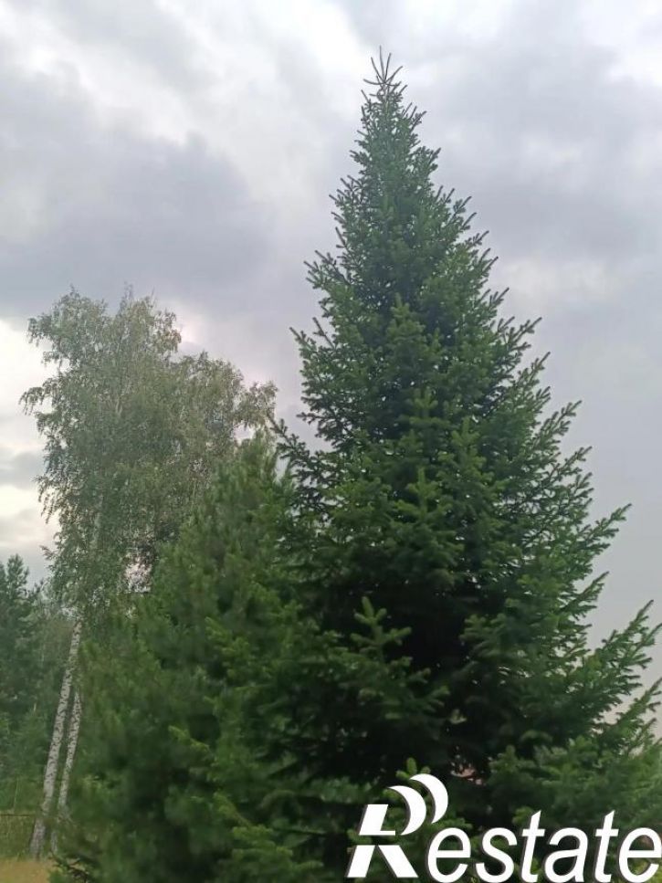 Коттедж/дом Новосибирск