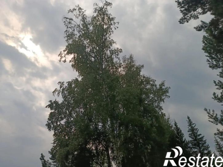 Коттедж/дом Новосибирск