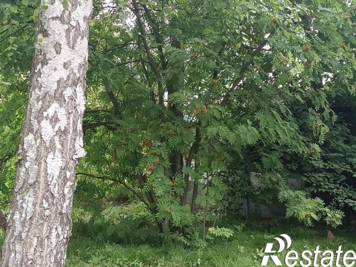 Коттедж/дом Новосибирск