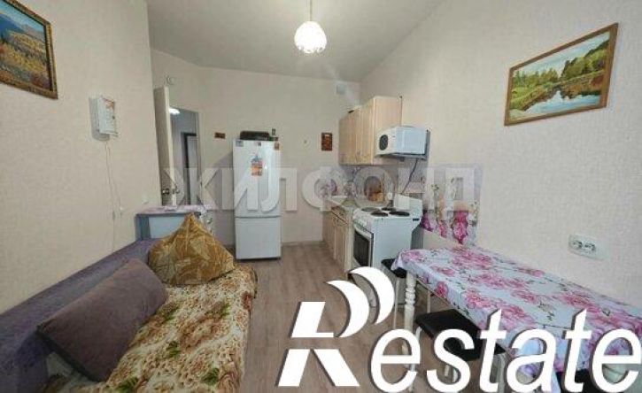 1-комн квартира улица Бородина, 56,  д. 56