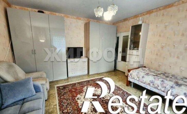 1-комн квартира Оловозаводская улица, 1/3,  д. 1/3