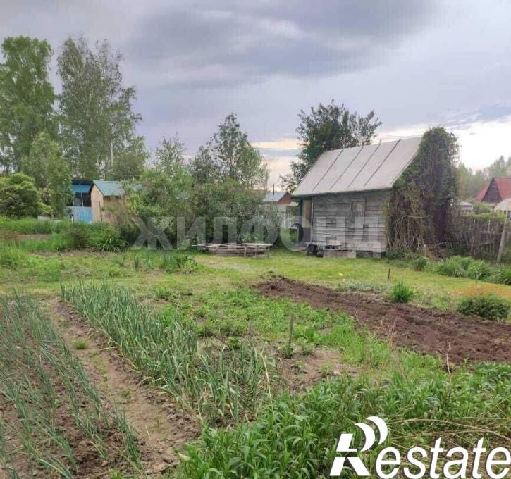 Коттедж/дом Новосибирск