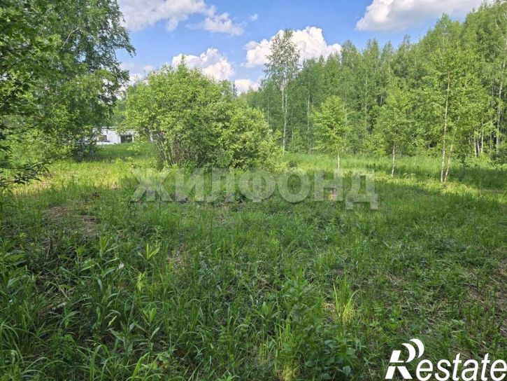 Земельный участок Зеленодолинская улица