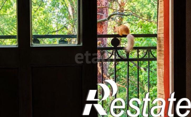 1-комн квартира Морской проспект, 64,  д. 64